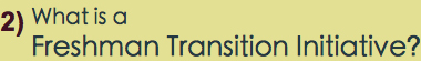What is a Freshman Transition Initiative?
