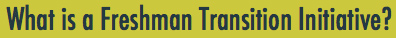 What is a Freshman Transition Initiative?